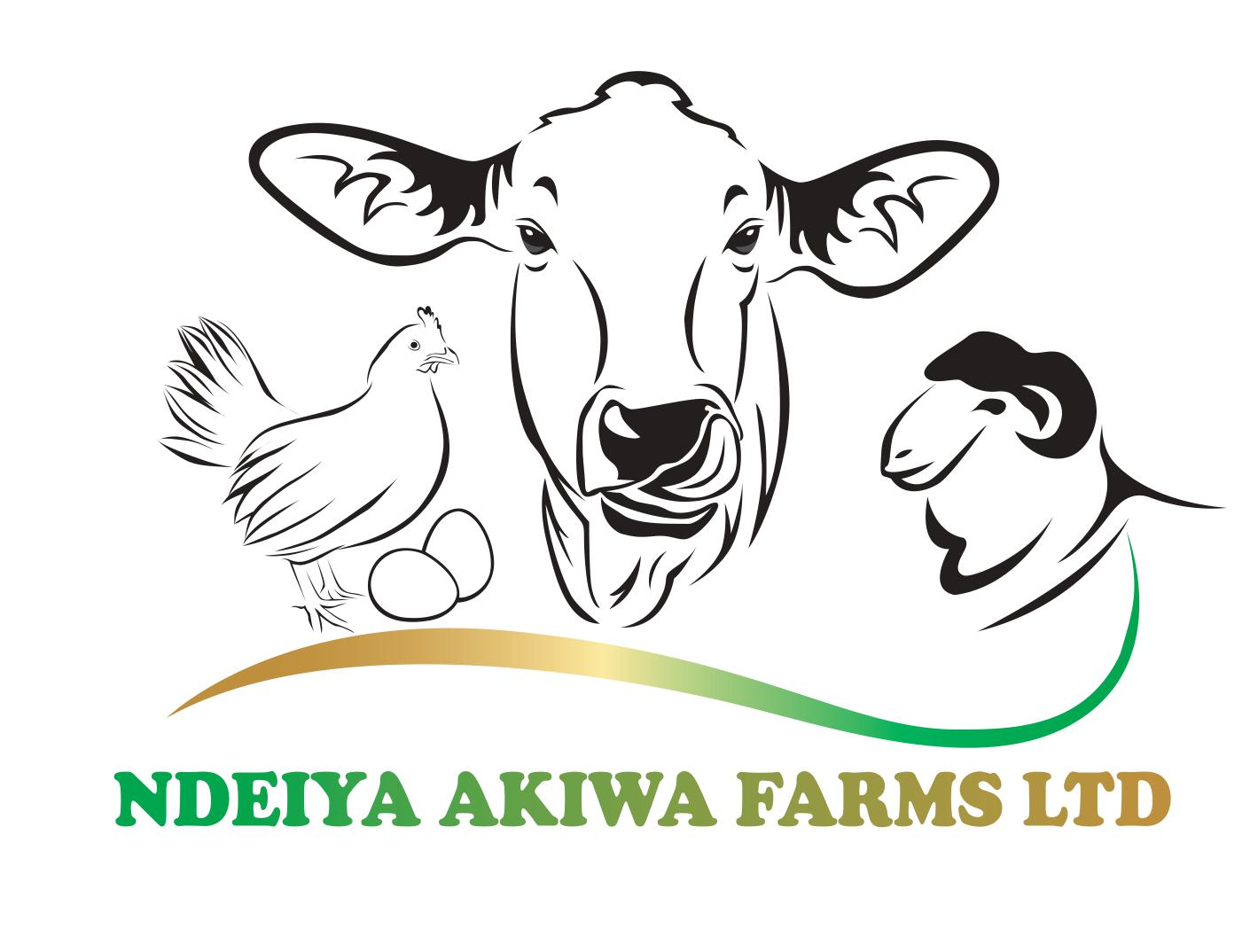 Ndeiya akiwa farm