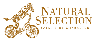 Natural Selection