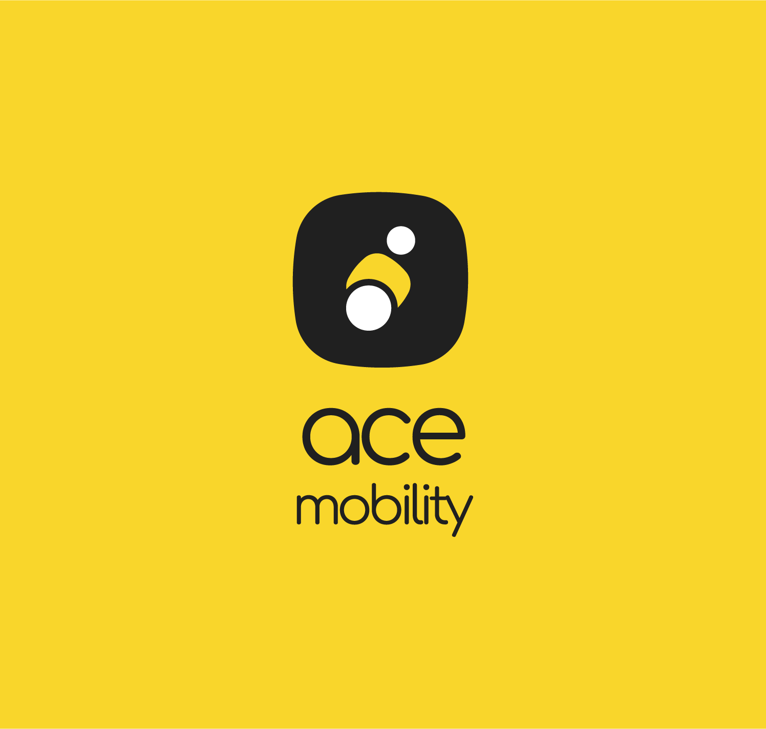 Ace Mobility
